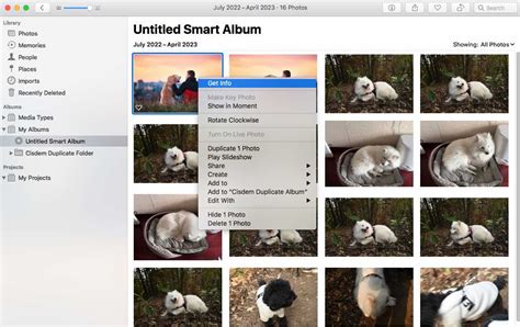 can you automatically delete duplicate photos in iphoto