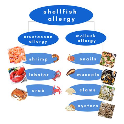 can you be allergic to just squid