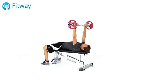 Home Gym Bench, Bars, Weights & Rack for Sale in The Bronx