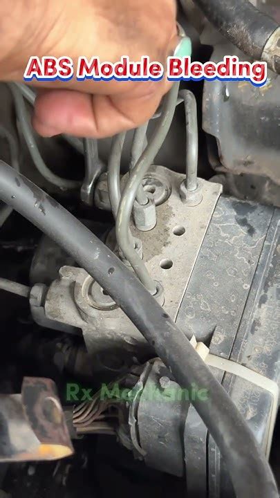 Can You Bleed Abs Module