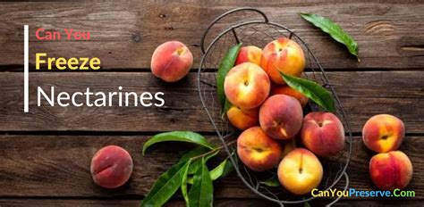 Can You Bottle Nectarines