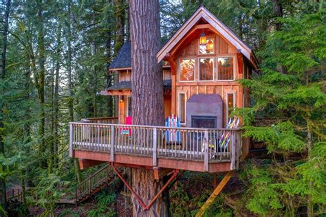 Can You Build A Treehouse In A Pine Tree