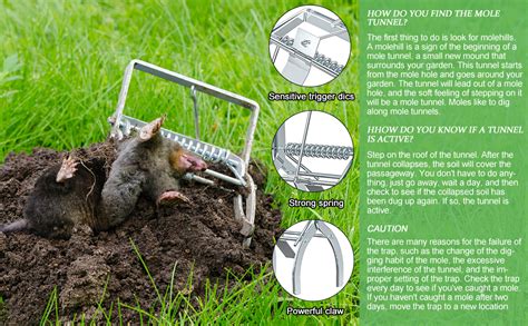 Can You Catch A Gopher With A Rat Trap