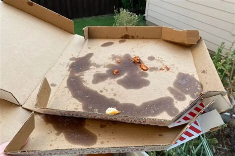 Can You Compost Pizza