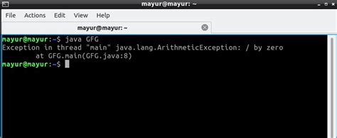 Can You Divide By 0 In Java