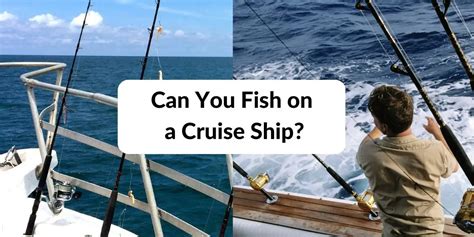 Can You Fish: Regulations You Need To Know Before Your First Cast