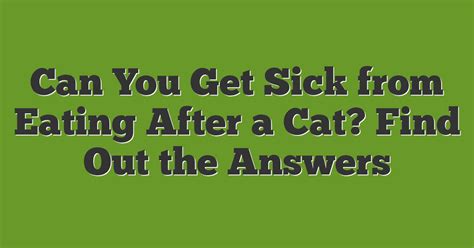 Can You Get Sick From Drinking After A Cat