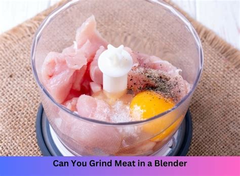 Can You Grind Chicken In A Blender