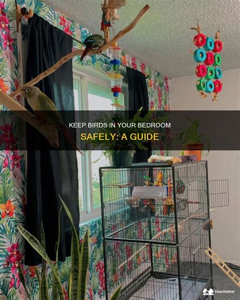 Can You Keep A Bird In Your Bedroom