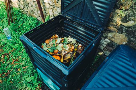 Can You Keep A Compost Bin Outside