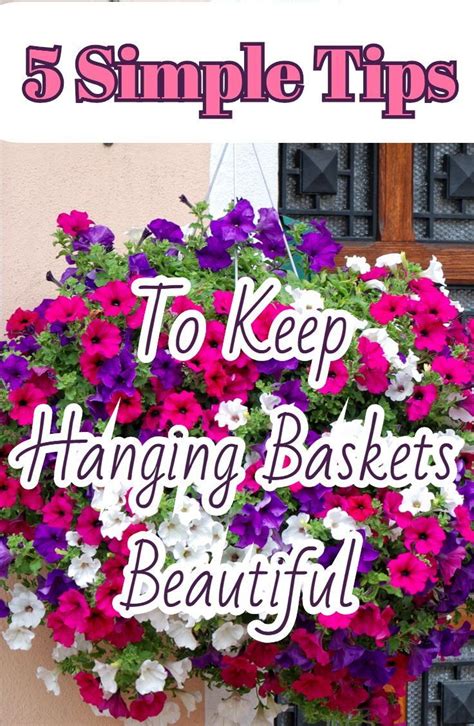 Can You Keep Hanging Baskets Inside