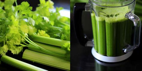 Can You Make Celery Juice In Blender