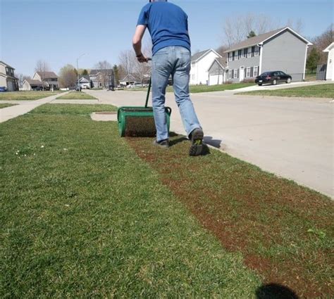 Can you Overseed Without Aerating? + [More Tips]