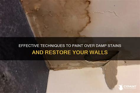 Can You Paint Over Damp Ceiling
