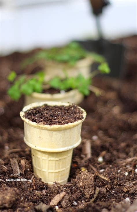 can you plant seeds in ice cream cones
