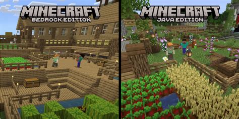 can you play minecraft with java and bedrock