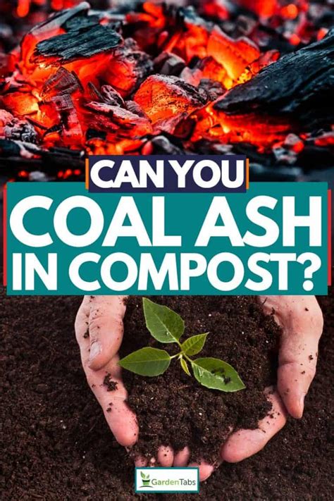 Can You Put Ashes On A Compost Heap
