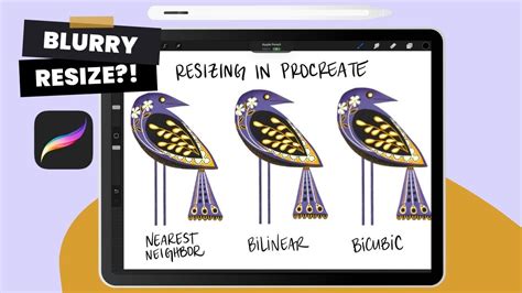 can you resize canvas in procreate
