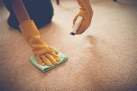 can you saturate a carpet with ammonia