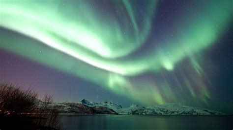 can you see northern lights in norway in june