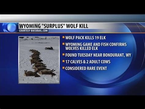 can you shoot a wolf in wyoming