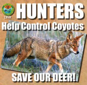 can you shoot coyotes in south carolina
