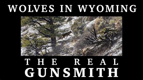 can you shoot wolves in wyoming