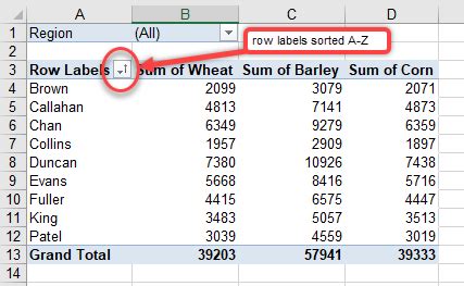 can you sort data in a pivot table