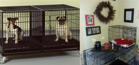 Can You Stack Wire Dog Crates