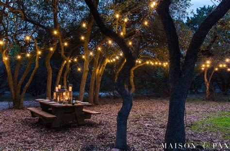 Can You String Lights On Trees