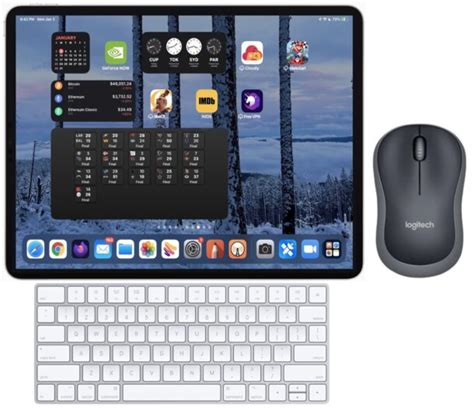 can you use a bluetooth mouse and keyboard on an ipad