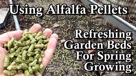 can you use alfalfa pellets for fertilizer