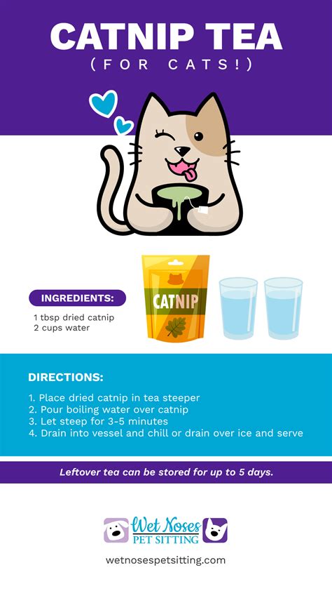 Can You Use Cats Catnip To Make Tea