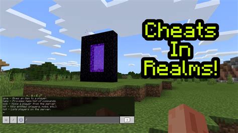 Can You Use Cheats In Realms