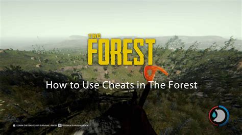 Can You Use Cheats In The Forest Multiplayer