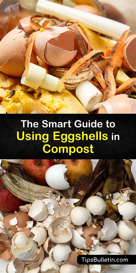 Can You Use Eggshells For Compost