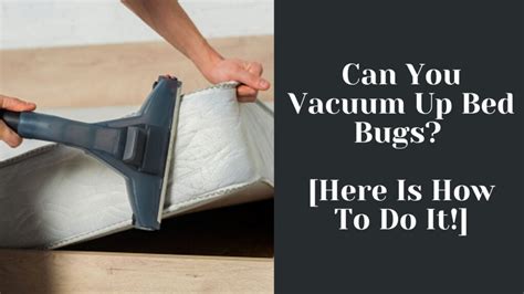 Can You Vacuum Throw Up