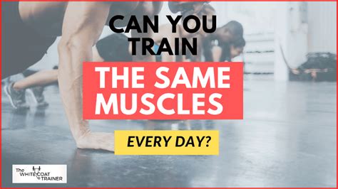 Can You Work Out The Same Muscles Every Day 