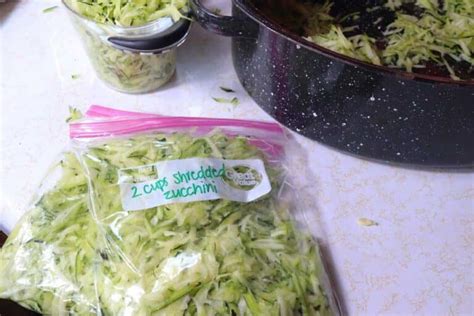 Can Zucchini Be Frozen For Future Use