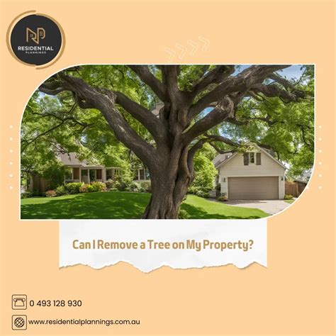 Tree Removal Birmingham AL Tree Trimming Professional Tree Service