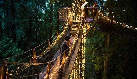 Canada Suspension Bridge Lights Holidays In Vancouver Canyon At Capilano Park Capilano Canyon