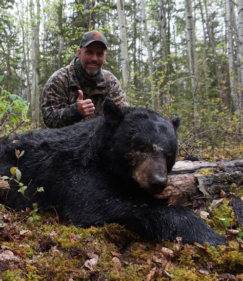 canada black bear hunt