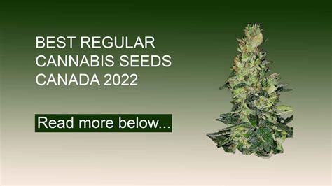 canada cannabis seeds 420 sales