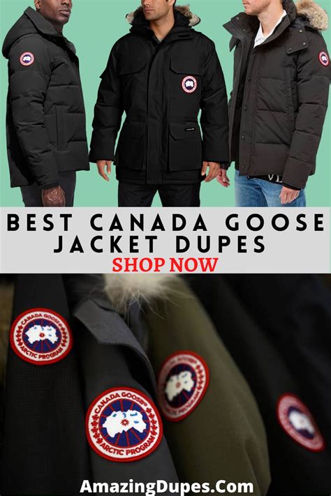 canada goose beanie dupe