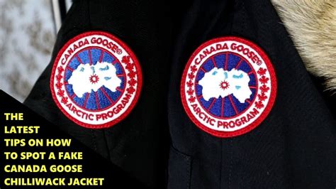 canada goose coat fake