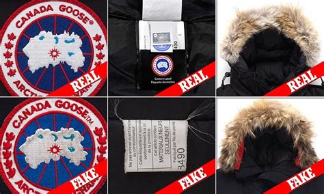 canada goose fake coats