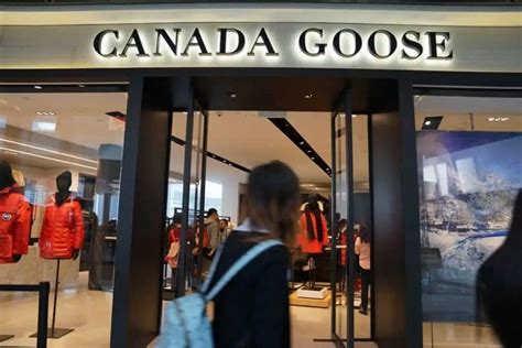 canada goose return on equity