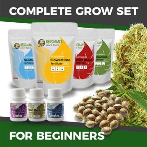 canadian marijuana seeds for sale