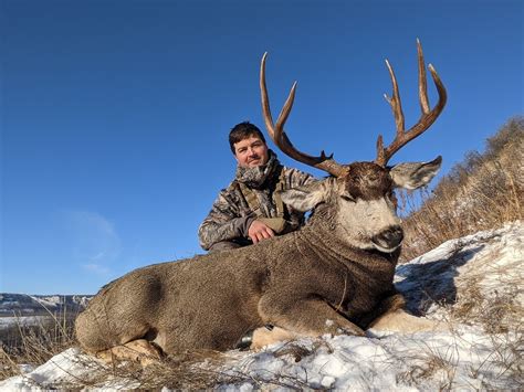 canadian mule deer hunting outfitters