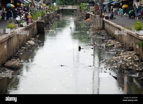 canal pollution